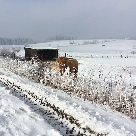 Апартаменти Haus Friederike Ab 6 Uebernachtungen, Inclusive Meine Card *