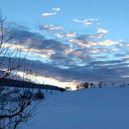 Апартаменти Haus Friederike Ab 6 Uebernachtungen, Inclusive Meine Card