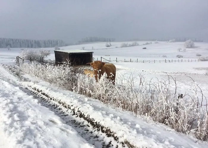 Апартаменти Haus Friederike Ab 6 Uebernachtungen, Inclusive Meine Card *