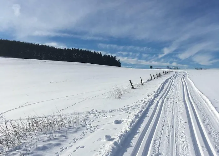아파트 Haus Friederike Ab 6 Uebernachtungen, Inclusive Meine Card *