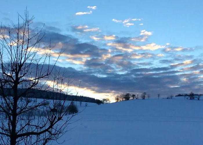 아파트 Haus Friederike Ab 6 Uebernachtungen, Inclusive Meine Card