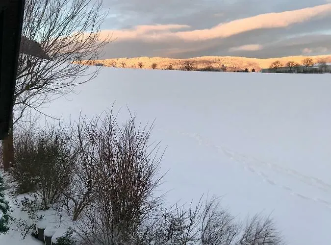 Haus Friederike Ab 6 Uebernachtungen, Inclusive Meine Card 아파트 빌링겐