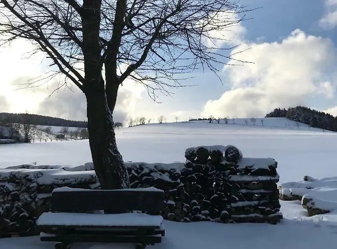 Haus Friederike Ab 6 Uebernachtungen, Inclusive Meine Card Віллінген